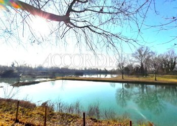 IMG-20260213-WA0032.jpg - Rustico Via Riccardo Riporti 8, Piazzola sul Brenta - foto 13