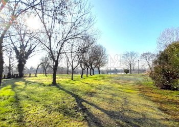 IMG-20260213-WA0033.jpg - Rustico Via Riccardo Riporti 8, Piazzola sul Brenta - foto 14