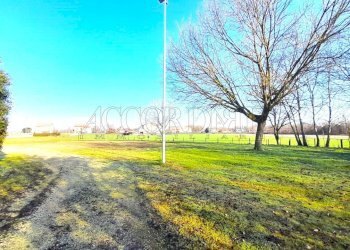 IMG-20260213-WA0034.jpg - Rustico Via Riccardo Riporti 8, Piazzola sul Brenta - foto 15