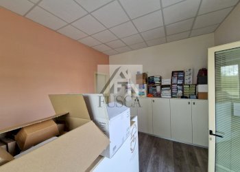 villa- vendita- lucca--fusca_87.jpg - Ufficio Via Teodoro Borgognoni 124, Lucca - foto 17