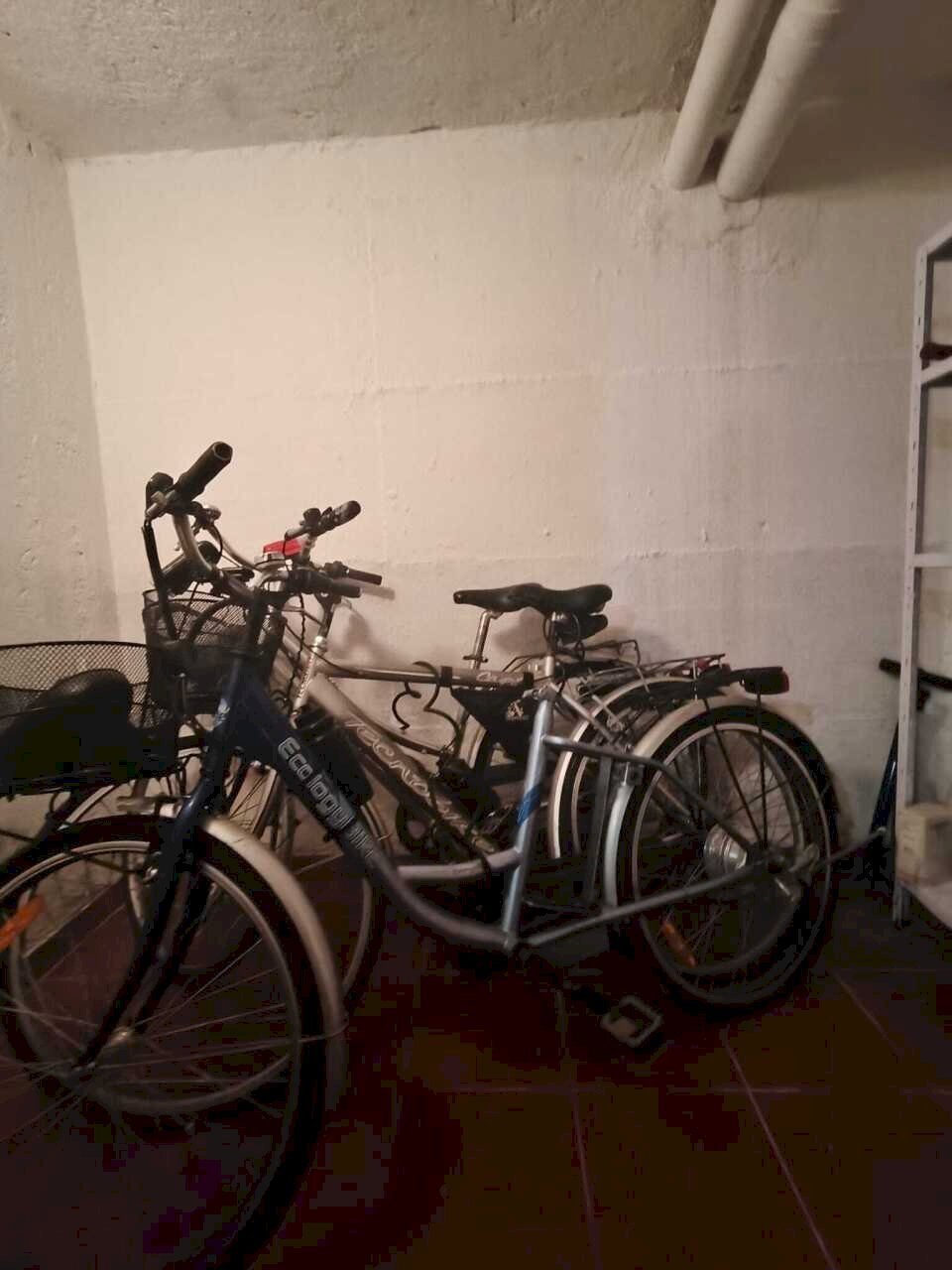 WhatsApp Image 2026-02-27 at 18.17.09.jpeg - Magazzino Viale Maiella A, Francavilla al Mare - foto 2