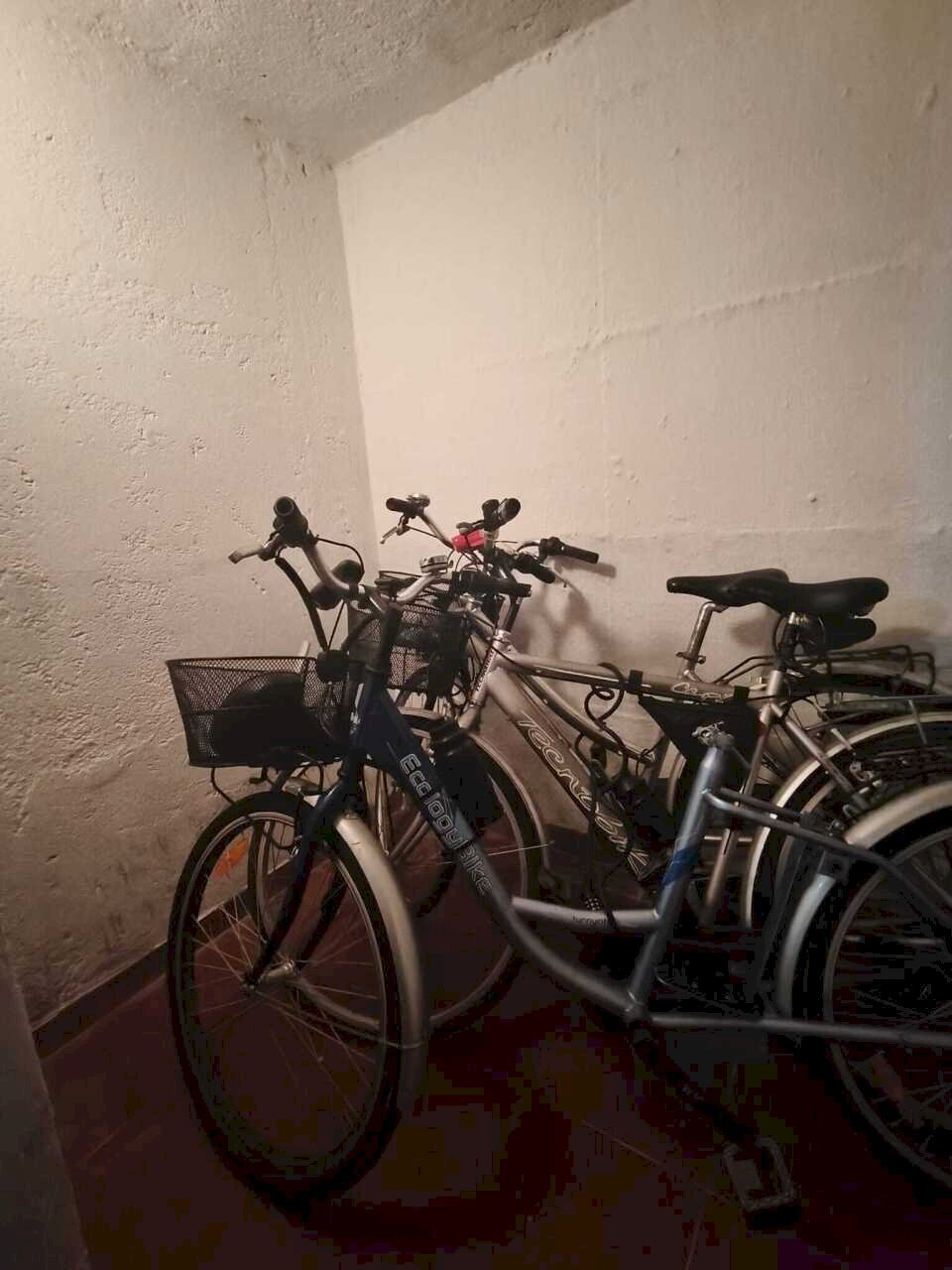 WhatsApp Image 2026-02-27 at 18.17.09 (1).jpeg - Magazzino Viale Maiella A, Francavilla al Mare - foto 3