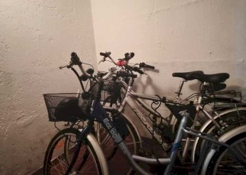 WhatsApp Image 2026-02-27 at 18.17.09 (1).jpeg - Magazzino Viale Maiella A, Francavilla al Mare - foto 3