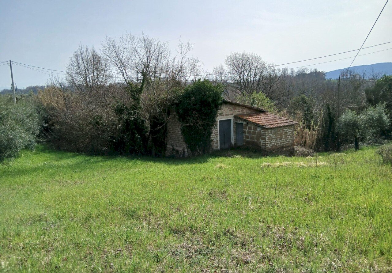 5aca65ea-3786-49f5-b79d-6a8004602efa.jpg - Townhouse Via Valle Molina, Montecastrilli - photo 2