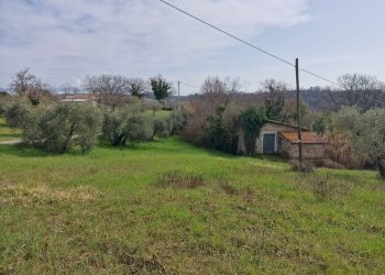 93ef5795-92e9-44f5-b652-86927236c0a2.jpg - Townhouse Via Valle Molina, Montecastrilli - photo 4