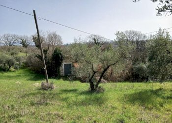 02291a19-6e71-4664-910f-d0d0359a252e.jpg - Townhouse Via Valle Molina, Montecastrilli - photo 6