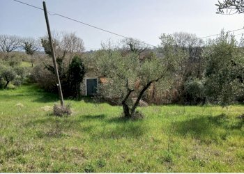 b298b728-1a60-4e37-95e5-95a34187ede5.jpg - Townhouse Via Valle Molina, Montecastrilli - photo 9