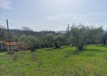 d7d14c7c-aa3f-49f0-9b19-87d974fa18c6.jpg - Townhouse Via Valle Molina, Montecastrilli - photo 15