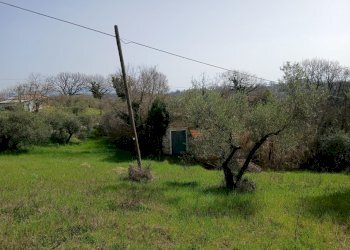 f6170e62-5c41-4f22-8e9e-519ac83c4f26.jpg - Townhouse Via Valle Molina, Montecastrilli - photo 16