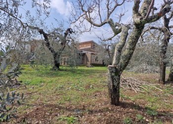 8ee43c5f-0b02-4eb2-8b9f-c33a315f727f.jpg - Terratetto - Terracielo Via Valle Molina, Montecastrilli - foto 15