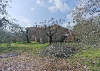 cc56137f-5665-4f4e-9caa-359b59d2c26d.jpg - Terratetto - Terracielo Via Valle Molina, Montecastrilli - foto 17