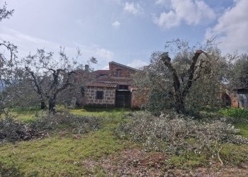 facc41ea-3c43-4b67-8a9f-0590b2520927.jpg - Terratetto - Terracielo Via Valle Molina, Montecastrilli - foto 24