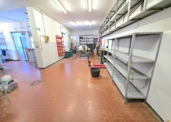 20251024_110550.jpg - Magazzino Via del Commercio 27, Genova (zona Nervi) - foto 17