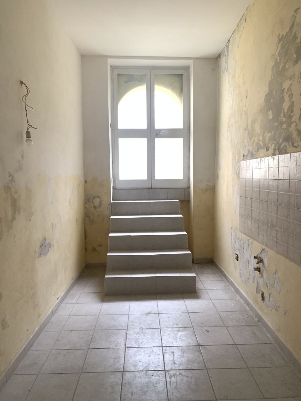 IMG_9930.jpg - Magazzino Camaiore - foto 1