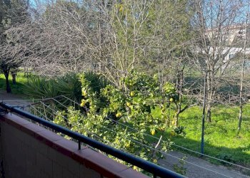 WhatsApp Image 2026-03-05 at 18.44.10 (2).jpeg - Appartamento Via Giuseppe Spataro 7, Lanciano - foto 15