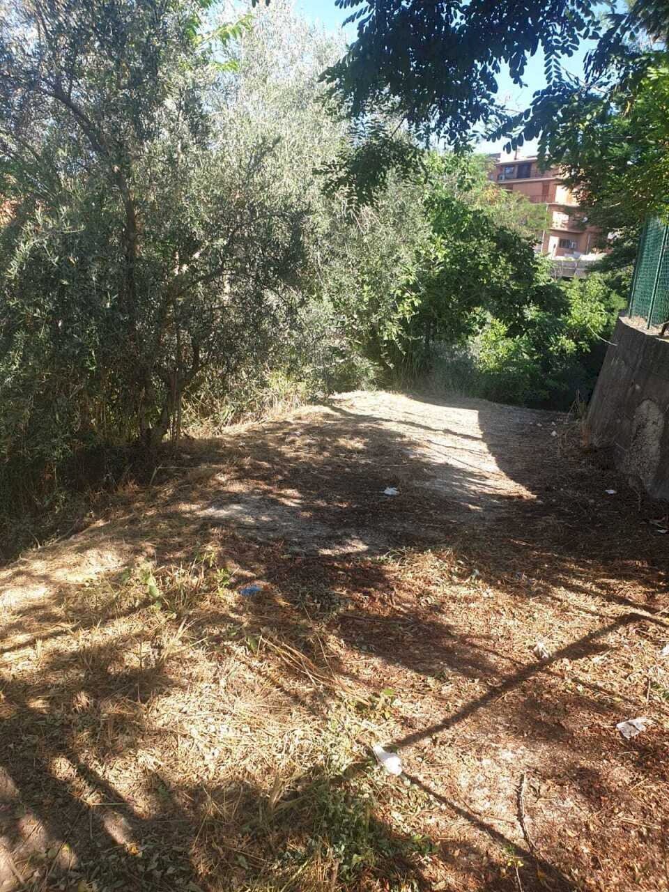 IMG-20260302-WA0010.jpg - Terreno agricolo Via Giulio Roncacci 1, Morlupo - foto 1