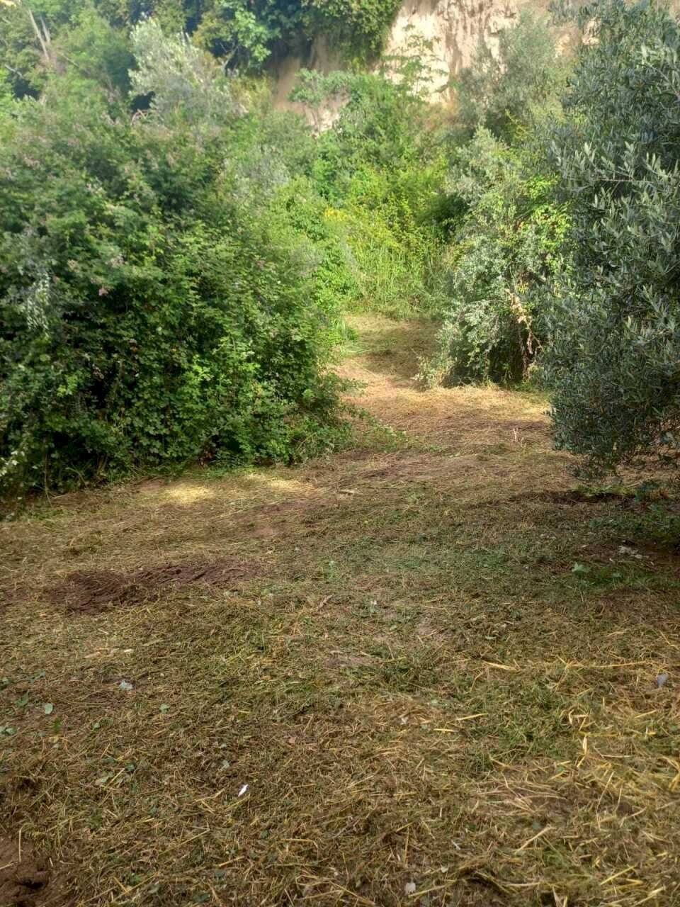 IMG-20260302-WA0017.jpg - Terreno agricolo Via Giulio Roncacci 1, Morlupo - foto 3