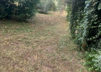 IMG-20260302-WA0016.jpg - Terreno agricolo Via Giulio Roncacci 1, Morlupo - foto 2