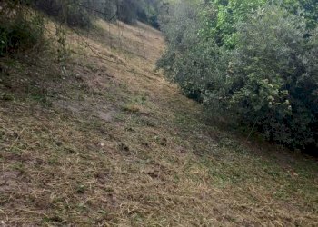 IMG-20260302-WA0020.jpg - Terreno agricolo Via Giulio Roncacci 1, Morlupo - foto 6