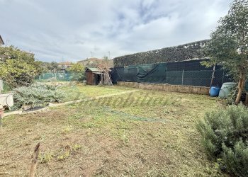 photo_23_2026-03-05_11-00-50.jpg - Villa a Schiera Via Giuseppe di Vittorio, Rosignano Marittimo - foto 1