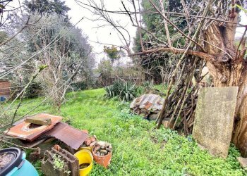 5816920804980100403.jpg - Terratetto - Terracielo Via della Rimembranza, Rosignano Marittimo - foto 28