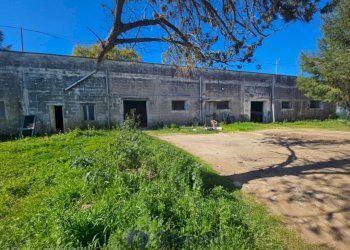 WhatsApp Image 2026-02-25 at 16.13.03_risultato.jp - Magazzino Via Solano Li Belli 47, Lequile - foto 1