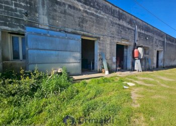 WhatsApp Image 2026-02-25 at 16.13.05_risultato.jp - Magazzino Via Solano Li Belli 47, Lequile - foto 3