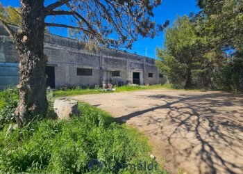 WhatsApp Image 2026-02-25 at 16.13.02 (2)_risultat - Magazzino Via Solano Li Belli 47, Lequile - foto 17