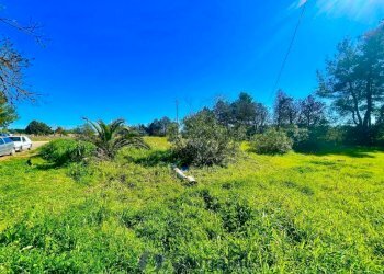 WhatsApp Image 2026-02-25 at 16.13.01 (1)_risultat - Magazzino Via Solano Li Belli 47, Lequile - foto 18