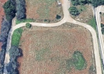 Immagine 2026-02-25 173419_risultato.jpg - Magazzino Via Solano Li Belli 47, Lequile - foto 19