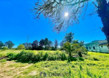 WhatsApp Image 2026-02-25 at 16.13.01_risultato.jp - Magazzino Via Solano Li Belli 47, Lequile - foto 23