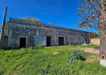 WhatsApp Image 2026-02-25 at 16.13.02 (3)_risultat - Magazzino Via Solano Li Belli 47, Lequile - foto 25