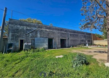 WhatsApp Image 2026-02-25 at 16.13.02_risultato.jp - Magazzino Via Solano Li Belli 47, Lequile - foto 26