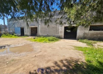 WhatsApp Image 2026-02-25 at 16.13.03 (1)_risultat - Magazzino Via Solano Li Belli 47, Lequile - foto 27