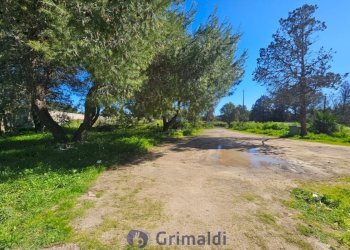 WhatsApp Image 2026-02-25 at 16.13.03 (2)_risultat - Magazzino Via Solano Li Belli 47, Lequile - foto 28