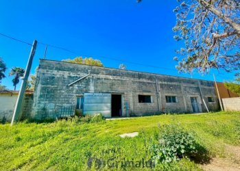 WhatsApp Image 2026-02-25 at 16.13.00 (2)_risultat - Warehouse Via Solano Li Belli 47, Lequile - photo 2