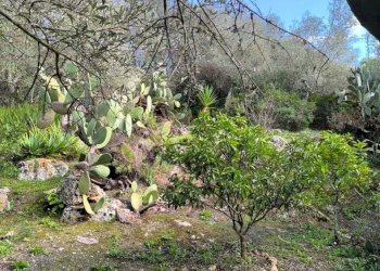 IMG-20251110-WA0055.jpg - Villa Strada Vicinale Li Curuneddi Tronco B, Sassari - photo 20