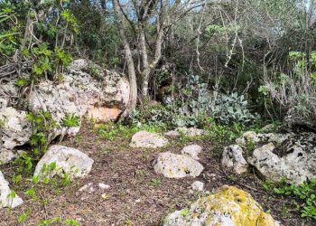 IMG-20251110-WA0056.jpg - Villa Strada Vicinale Li Curuneddi Tronco B, Sassari - photo 21