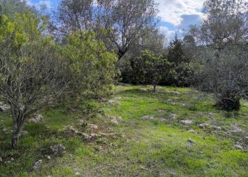 IMG-20251110-WA0064.jpg - Villa Strada Vicinale Li Curuneddi Tronco B, Sassari - photo 29