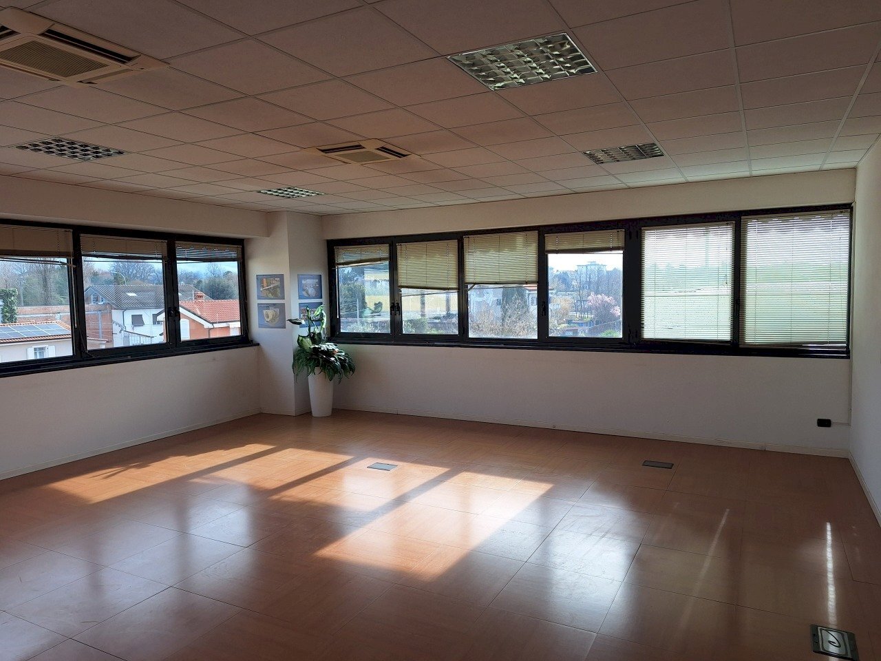 20260303_094630.jpg - Office Sarzana - photo 1