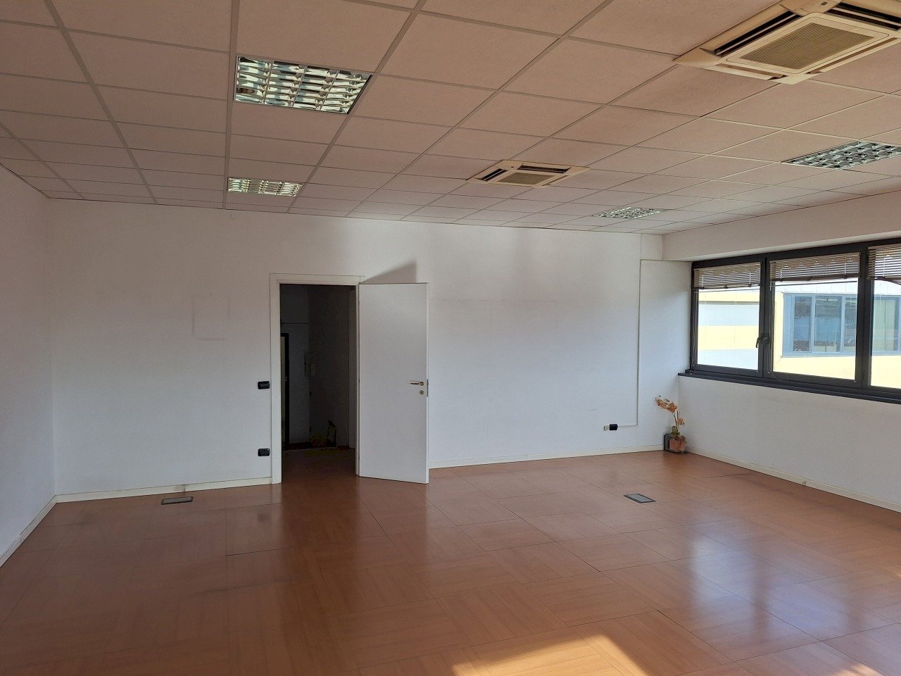 20260303_094809.jpg - Office Sarzana - photo 3