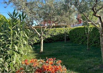 df0e30a7-e73f-423a-979c-95d5d06faebe.jpg - Townhouse Sarzana - photo 4