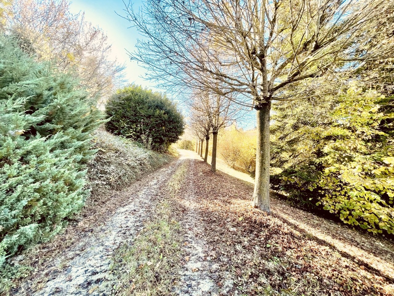 003.jpeg - Casale Località Panate 18, Farigliano - photo 3