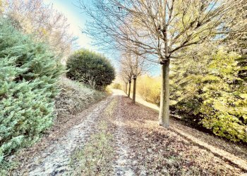 003.jpeg - Casale Località Panate 18, Farigliano - foto 3