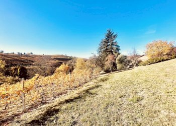 012.jpeg - Casale Località Panate 18, Farigliano - foto 12