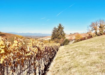 014.jpeg - Casale Località Panate 18, Farigliano - foto 14