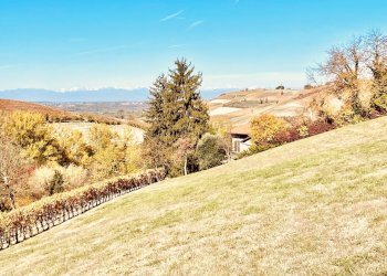 015.jpeg - Casale Località Panate 18, Farigliano - foto 15