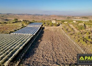 Villa Canicattì, Canicattì - foto 7