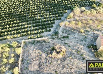 Villa Canicattì, Canicattì - foto 24