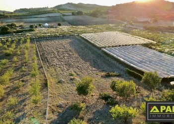 Villa Canicattì, Canicattì - foto 34